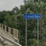 A secat Cricovul Dulce. Oamenii spun că apa a fost captată 11 557748835 1212155174287603 6693352484957965298 n