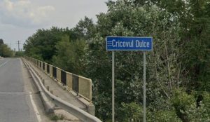 A secat Cricovul Dulce. Oamenii spun că apa a fost captată 4 557748835 1212155174287603 6693352484957965298 n